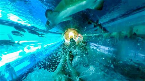 water slide through shark tank